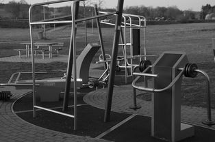 mk体育电脑版-高校运动训练动态管理机制研究,运动训练过程调控与参赛指导