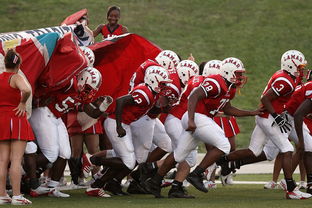 mk体育平台官网-青少年体育社团快速发展 激发校园活力，体育社团开展